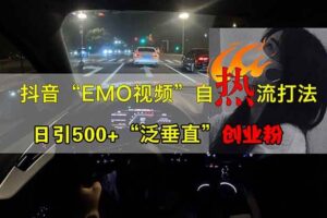 抖音EMO自热流创业粉打法，三天起千粉号，单视频十万播放量，多账号矩…-我的网站