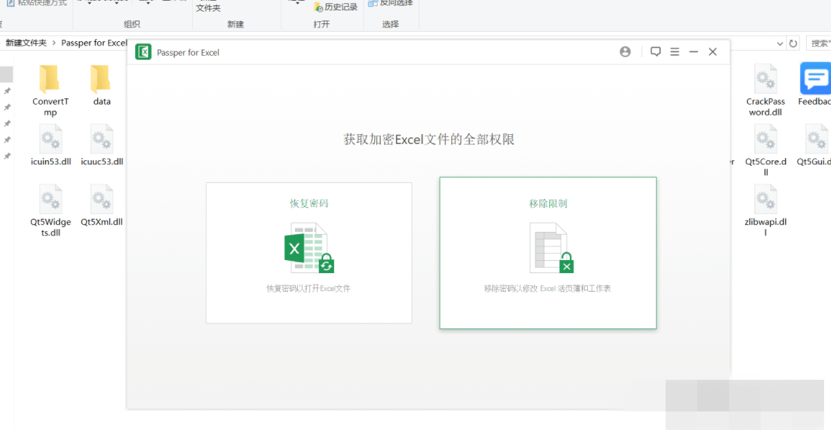 Excel密码移除器Passper for Excel_密码字典