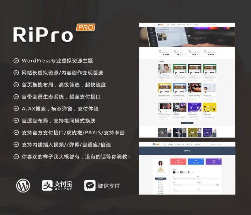 RIPro主题 v7.2 免授权修复后门完美版-我的网站