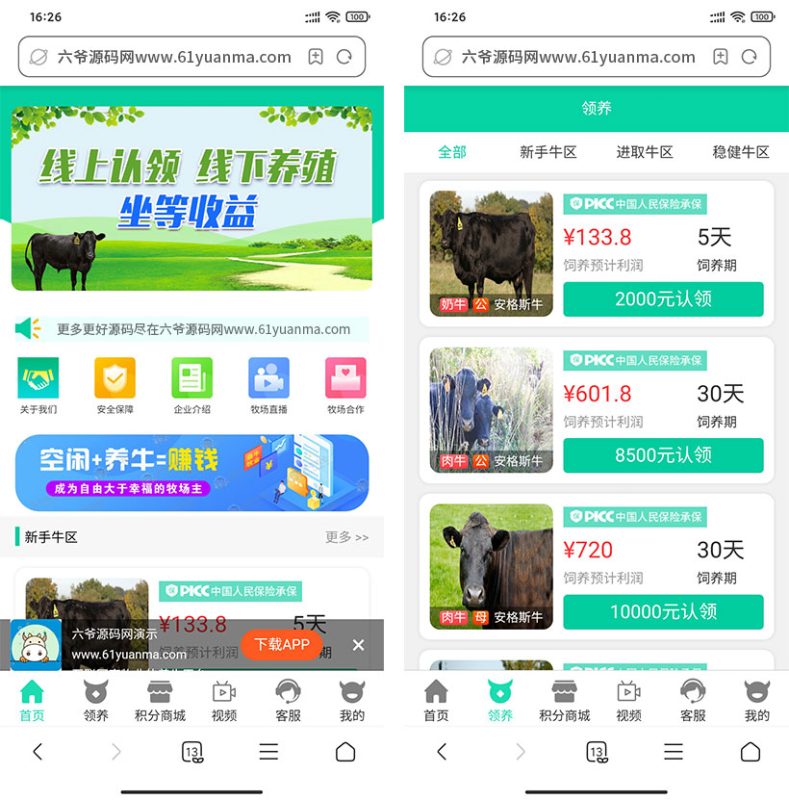 【网站源码】养牛场理财源码+养牛投资理+积分兑换商城+牧场直播完整源码-我的网站