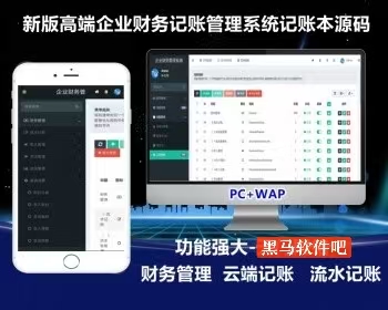 【高级版】在线财务记账系统企业商户记账本记账小帮手财务管理流水记账网站源码-我的网站