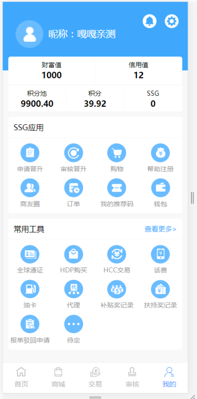 图片[6]-嘎嘎亲测–经典版国际数字货币商城源码ssg货币商城+数字货币+双端APP-我的网站