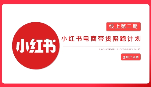 2025小红书虚拟电商实战课，从0到1打造无货源店铺，AI+爆款笔记轻松变现-我的网站