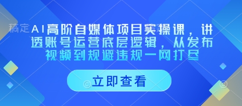 AI高阶自媒体项目实操课，讲透账号运营底层逻辑，从发布视频到规避违规一网打尽-我的网站