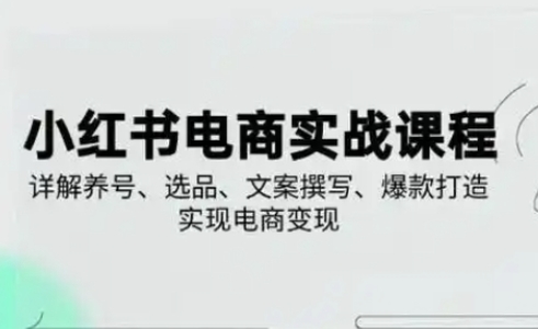 小红书从0-1实操课(2023-2025)，详解养号、选品、文案撰写、爆款打造实现电商变现-我的网站