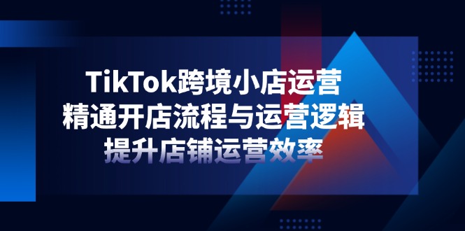 （14369期）TikTok跨境小店运营，精通开店流程与运营逻辑，提升店铺运营效率-我的网站