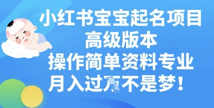 小红书宝宝起名项目高级版本，操作简单，资料专业，月入过W-我的网站