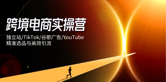 （14419期）跨境电商实操营：独立站/TikTok/谷歌广告/YouTube，精准选品与高效引流-我的网站