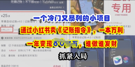 一个冷门需求，通过小红书卖《记账指令》，一本万利，谁做谁发，抓紧入局-我的网站