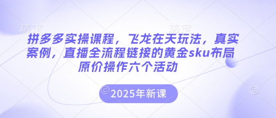 拼多多实操课程，飞龙在天玩法，真实案例，直播全流程链接的黄金sku布局原价操作六个活动-我的网站