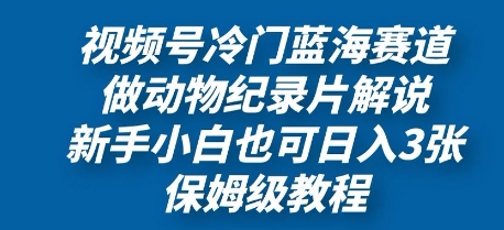 视频号冷门蓝海赛道，做动物纪录片解说，新手小白也日入3张，保姆级教程-我的网站