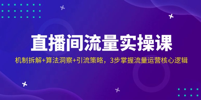 （14122期）直播间流量实操课：机制拆解+算法洞察+引流策略，3步掌握流量运营核心逻辑-我的网站