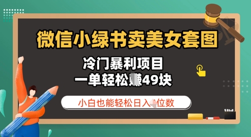 微信小绿书卖美女套图，冷门暴利项目，一单轻松挣49块，小白也能轻松日入3位数-我的网站