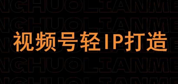 视频号线上课程，视频号轻IP打造-我的网站