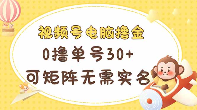 （14220期）视频号电脑撸金 0撸单号30+ 可矩阵 无需实名多号多得-我的网站
