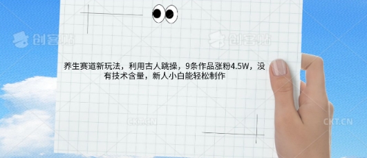 AI养生赛道新玩法，10条作品涨粉5.2W，操作简单，新人小白能轻松制作-我的网站