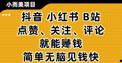 小而美的项目，抖音小红书B站视频点赞、关注、评论就能挣钱，简单无脑立见收益，妥妥的零撸项目【揭秘】-我的网站