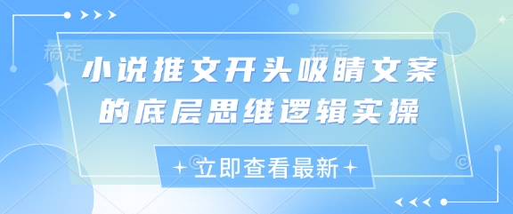 小说推文开头吸睛文案的底层思维逻辑实操-我的网站