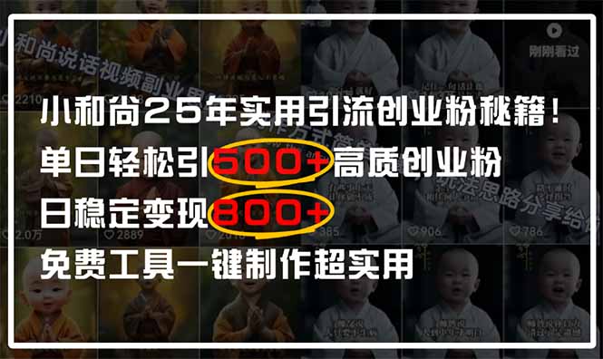 （14436期）小和尚2025年实用引流秘籍！单日轻松引500+高质量创业粉，日变现800+，…-我的网站