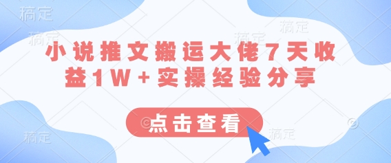 小说推文搬运大佬7天收益1W+实操经验分享-我的网站