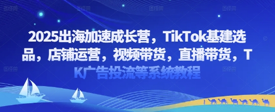 2025出海加速成长营，TikTok基建选品，店铺运营，视频带货，直播带货，TK广告投流等系统教程-我的网站