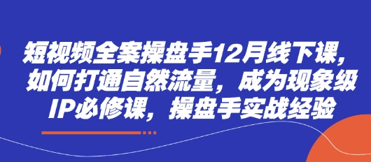 短视频全案操盘手12月线下课，如何打通自然流量，成为现象级IP必修课，操盘手实战经验-我的网站