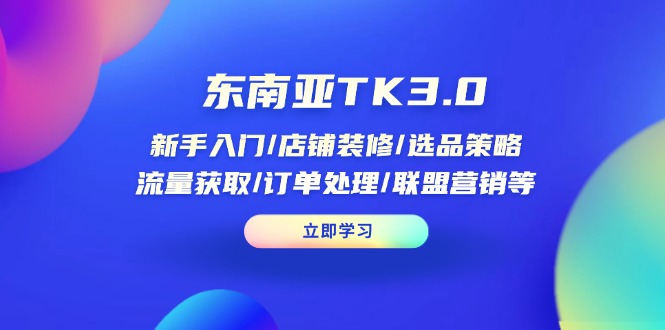 （14208期）东南亚TK3.0：新手入门/店铺装修/选品策略/流量获取/订单处理/联盟营销等-我的网站