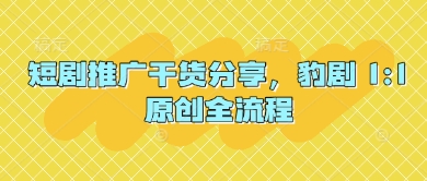 短剧推广干货分享，豹剧 1:1原创全流程-我的网站