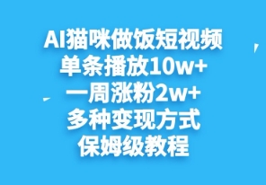AI猫咪做饭短视频，单条播放10w+，一周涨分2w+，多种变现方式，保姆级教程-我的网站