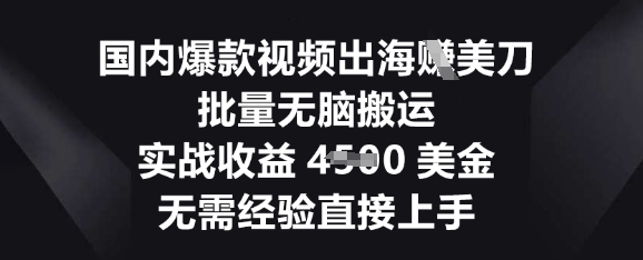 国内爆款视频出海挣美刀，批量无脑搬运，实战收益4.5k，无需经验直接上手-我的网站