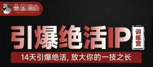 引爆绝活IP训练营，14天引爆绝活，放大你的一技之长-我的网站