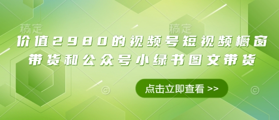 价值2980的视频号短视频橱窗带货和公众号小绿书图文带货-我的网站