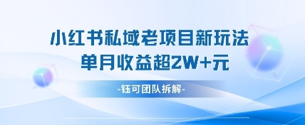 小红书私域项目新玩法，单月变现过W+-我的网站