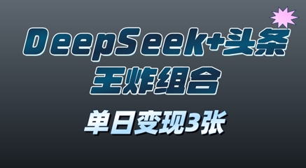 2025年DeepSeek+头条王炸组合，单日变现3张-我的网站