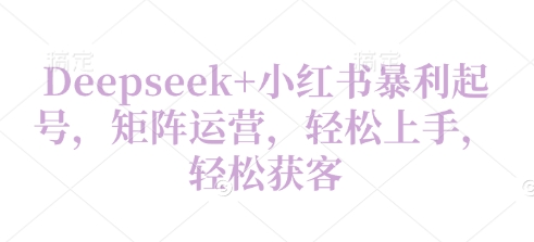 Deepseek+小红书暴利起号，矩阵运营，轻松上手，轻松获客-我的网站