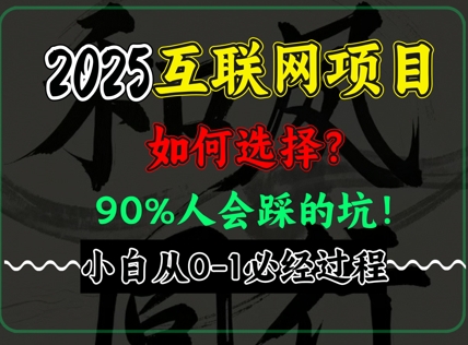 2025年互联网项目搞钱方法论，全是干货，肺腑之言，新手从0-1必经过程，边看边实操-我的网站