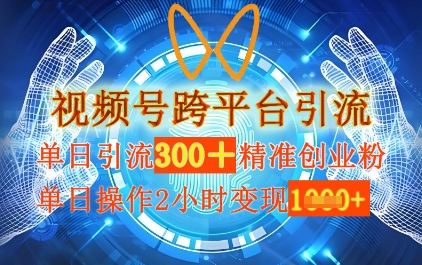 视频号跨平台引流，单日操作2小时，单日引流300+精准创业粉，单日变现数张-我的网站