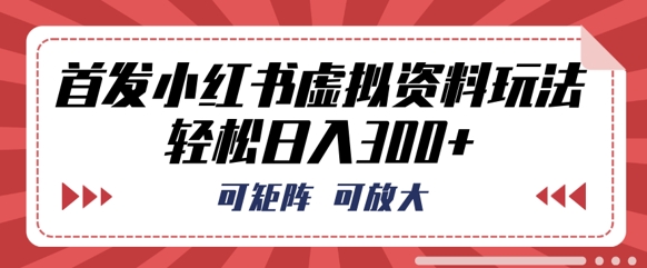 首发小红书虚拟资料玩法，可矩阵，可放大，轻松日入3张-我的网站