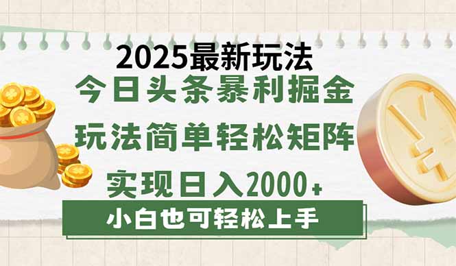 （14120期）今日头条2025最新玩法，思路简单，复制粘贴，轻松实现矩阵日入2000+-我的网站