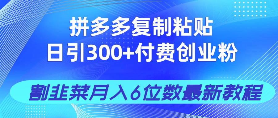 （14232期）拼多多复制粘贴日引300+付费创业粉，割韭菜月入6位数最新教程！-我的网站
