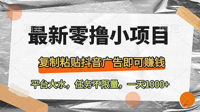 （14230期）最新零撸小项目，复制粘贴抖音广告即可赚钱，平台大水，任务不限量，一…-我的网站
