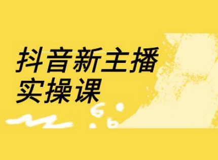 抖音新主播实操课，直播间流量运营线上实操课(18节)-我的网站