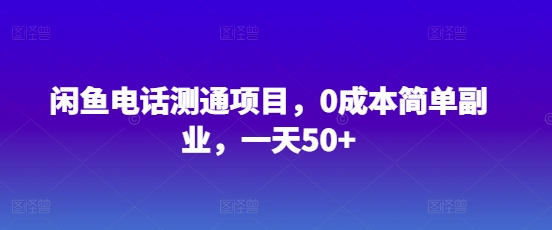 闲鱼电话测通项目，0成本简单副业，一天50+-我的网站