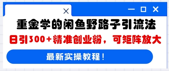重金学的闲鱼野路子引流法，日引300+精准创业粉，可矩阵放大-我的网站