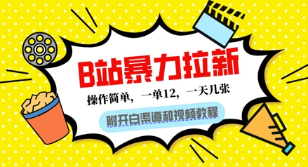 B站暴力拉新：一单12，一天几张，0门槛拉新(附渠道和教程)-我的网站