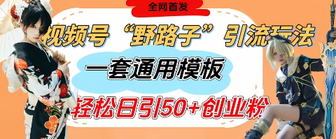 视频号“野路子”玩法，评论区疯狂截流，一套模板单日单号引流50+创业粉-我的网站