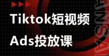 Ads视频投放课，tiktok短视频广告投放课-我的网站