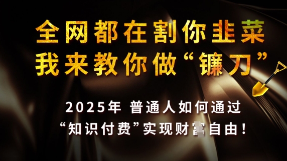全网都在割你韭菜，我来教你做镰刀，2025普通人如何通过知识付费，实现财F自由【揭秘】-我的网站