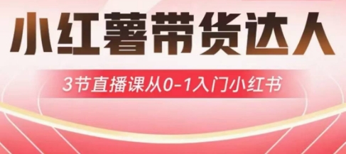 小红薯达人带货启航计划，3节直播课从0-1入门小红书-我的网站