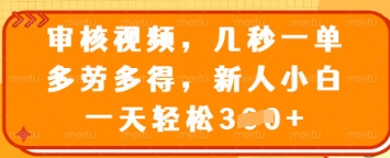 审核视频，几秒一单，多劳多得，新人小白一天轻松3张【揭秘】-我的网站